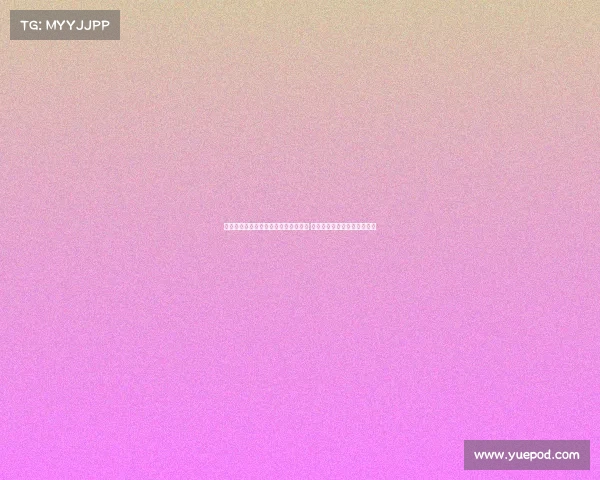 申京欧洲杯爆发背后：特训训练师助力 休赛期投射训练打造信心提升