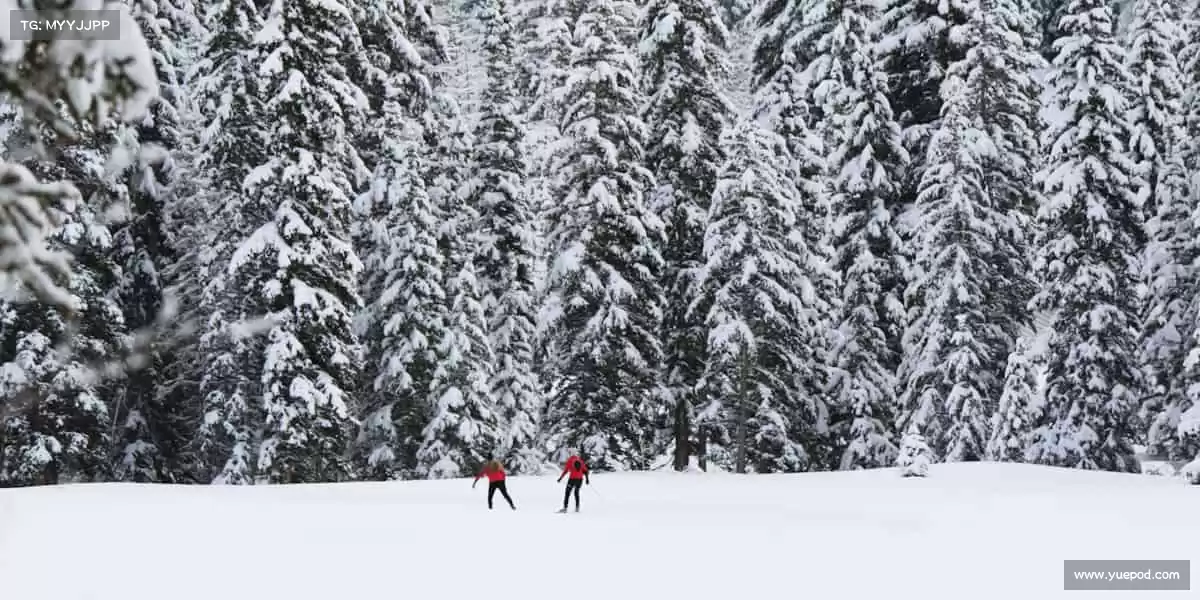 打破常规，创造前所未有的游戏体验！💥👾